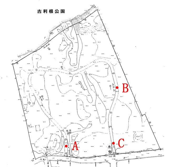 古利根公園測定地点