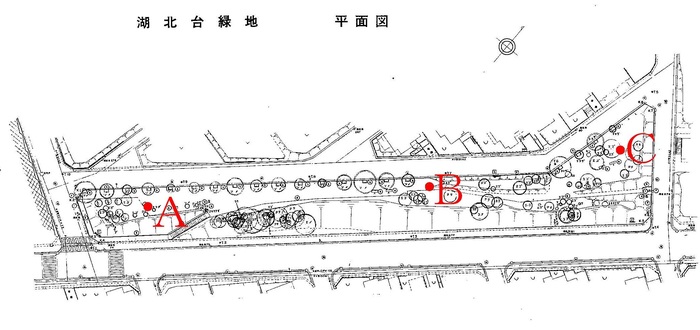 湖北台緑地測定地点