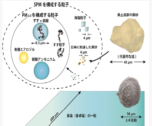 浮遊粒子状物質を構成する粒子の大きさ