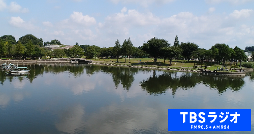 手賀沼公園の水辺の写真