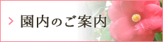 園内のご案内