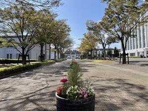 川村学園女子大学我孫子キャンパス